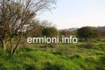 GL 0172 - Plot of land - Wista - Ermioni